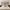 Stickers Muraux Arbre de Vie Original sur mur blanc