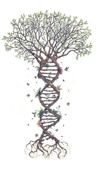 Tatouage Arbre de Vie Etages