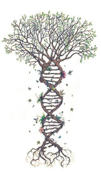 Thumbnail for Tatouage Arbre de Vie Etages
