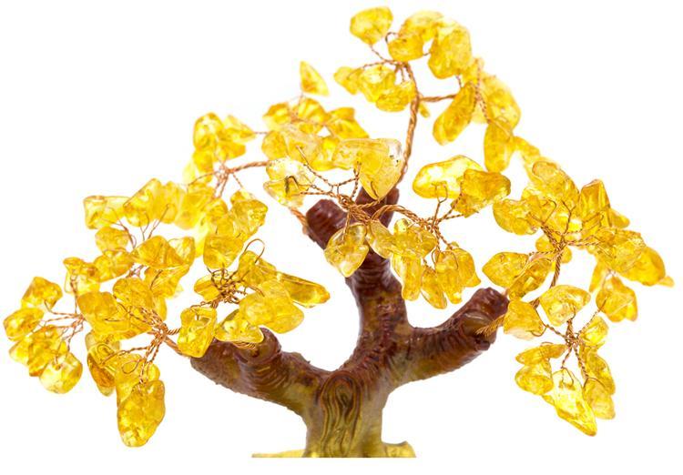 Arbre de Vie Feng Shui Chance