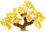 Arbre de Vie Feng Shui Chance